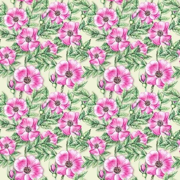 Motif rose musquée aquarelle