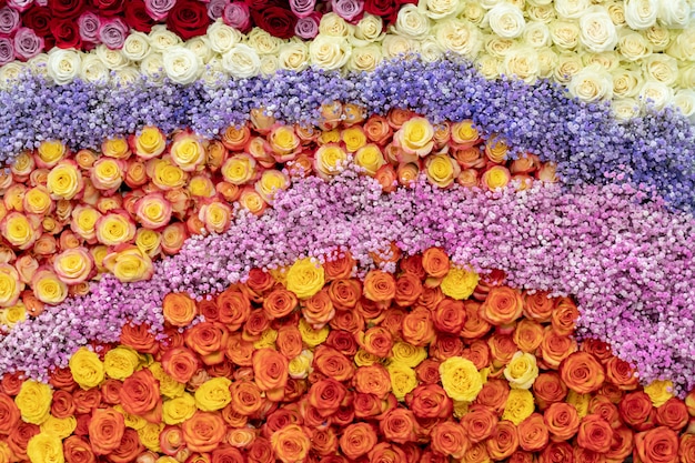 Motif de roses rouges, oranges et jaunes.