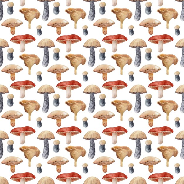 Motif sans couture à l'aquarelle avec des champignons sauvages