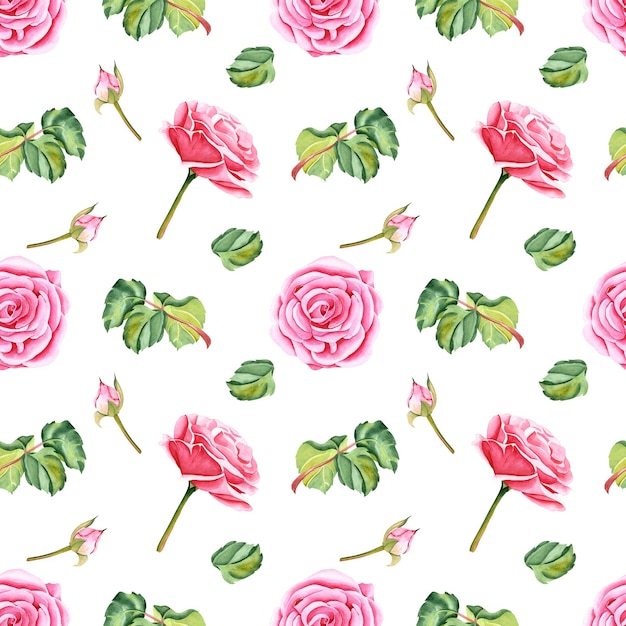 Motif sans couture d'aquarelle de fleurs botaniques feuilles et bourgeons sur un fond isolé rose rose de jardin illustration réaliste dessinée à la main dans le style botanique Image pour votre conception