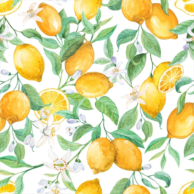 Motif sans couture de citron à l'aquarelle Citrus mûrs sur les branches Le feuillage et les fleurs sur un fond blanc Design d'été tropical pour le papier peint en tissu Menu d'emballage