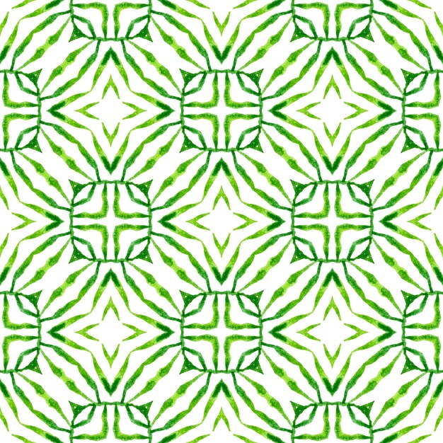 Le motif sans couture du médaillon est le boho immaculé vert.