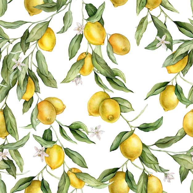 Motif sans couture avec illustration à l'aquarelle de citron ou de citron vert avec des fleurs blanches imprimé à la main