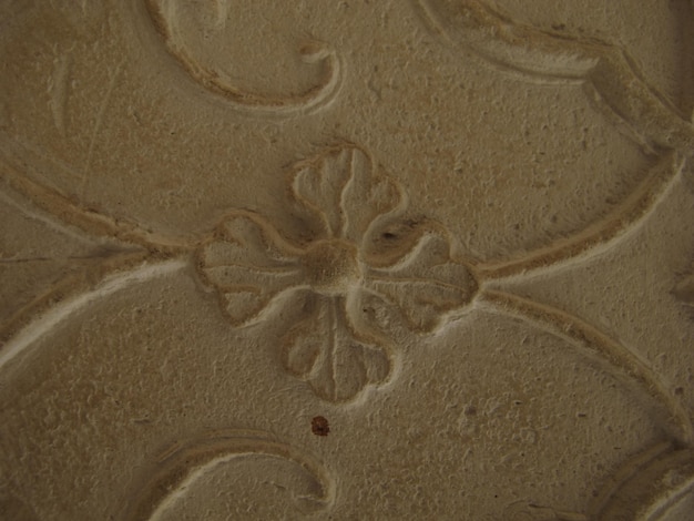 Motif sculpté sur mur de ciment