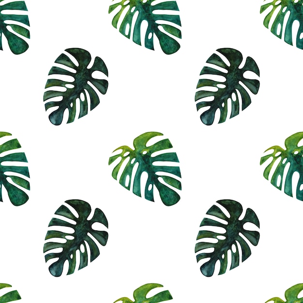 Motif Tropical Sans Couture Aquarelle Dessinés à La Main Avec Feuille De Monstera