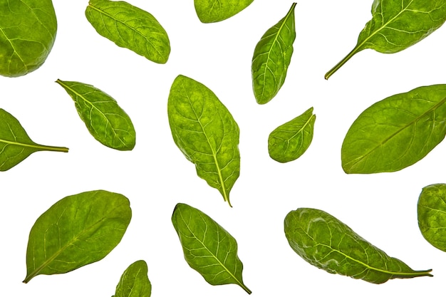 Motif végétal de feuilles d'épinards biologiques naturels frais sur un tableau blanc, copiez l'espace. Vue de dessus.