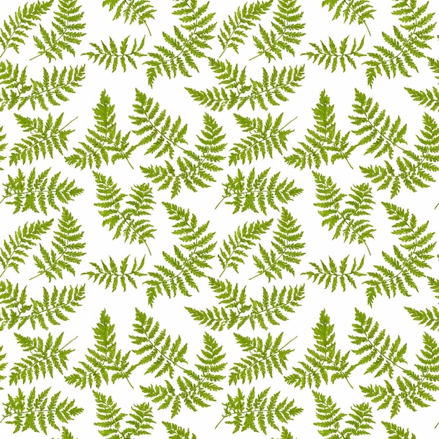 Photo motif végétal naturel sans couture avec des feuilles