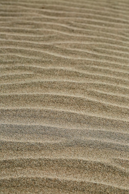 Photo motifs dans le sable