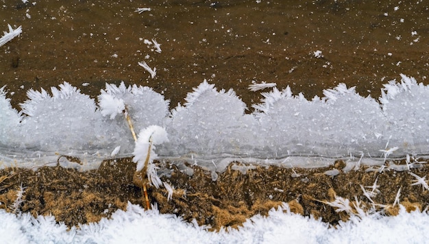 Motifs de dentelle du bord de l'eau gelée sur l'étang
