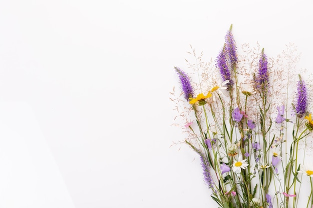 Photo des motifs floraux avec des fleurs sauvages, des feuilles vertes, des branches sur un fond blanc, une vue supérieure plate.