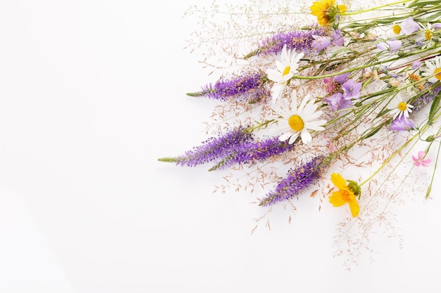 Photo des motifs floraux avec des fleurs sauvages, des feuilles vertes, des branches sur un fond blanc, une vue supérieure plate.