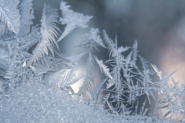 Motifs de givre sur le verre d'hiver