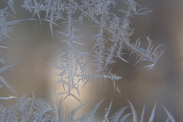 Motifs de glace sur une fenêtre d'hiver