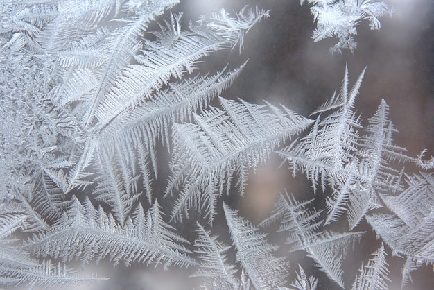 Motifs de glace uniques sur les vitres