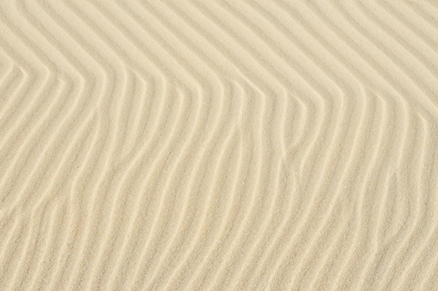 Photo des motifs naturels captivants dévoilés d'en haut dans des paysages de sable créent une symphonie visuelle des terres