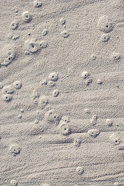 Motifs sur une surface de béton fraîchement coulée