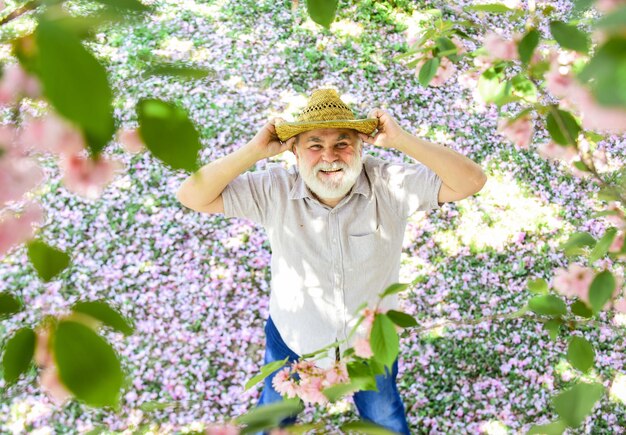 Émotions positives Vieillesse heureuse Retraité joyeux Santé mentale Homme heureux sous l'arbre de sakura regardant vers le haut Heureux homme âgé souriant regardant vers le haut Vieil homme positif et optimiste Bonne humeur