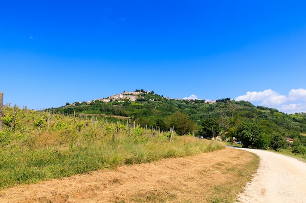 Motovun, Istrie. Croatie