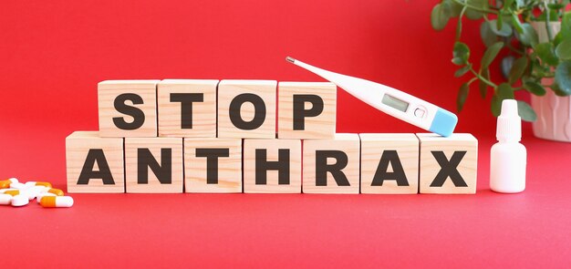 Les mots STOP ANTHRAX est fait de cubes en bois sur fond rouge