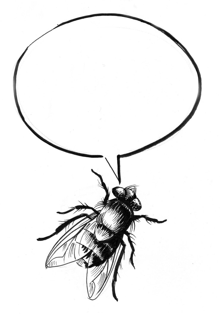 Photo mouche parlante. dessin noir et blanc à l'encre