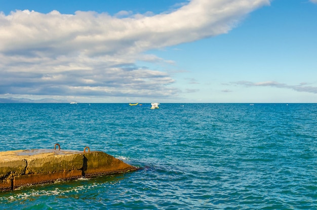 Mouette au-dessus de la mer près du rivage.