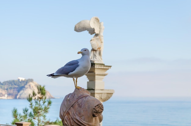 Une mouette est assise sur un rocher sur fond de mer.