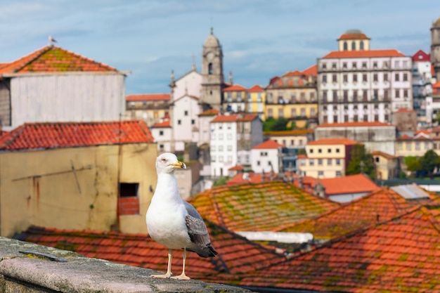 Mouette et toits de la vieille ville, Lisbonne, Portugal