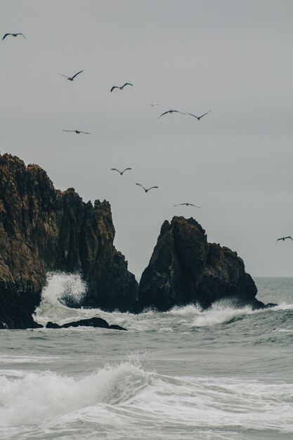 Une mouette vole au-dessus de l'océan avec une vague se brisant sur les rochers.