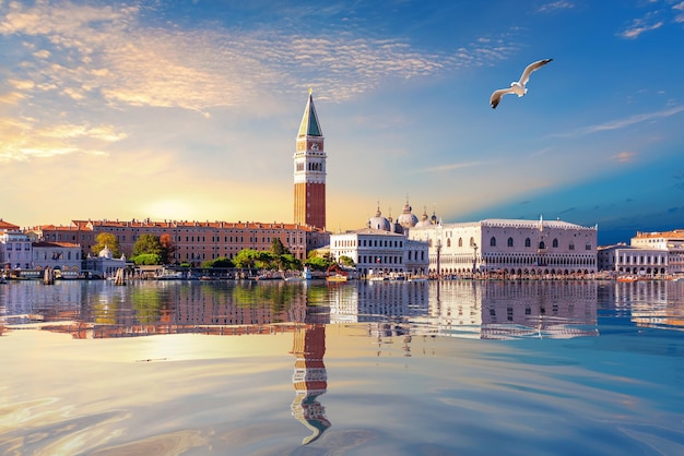 Mouette vole par San Marco et Palais des Doges au coucher du soleil Venise Italie