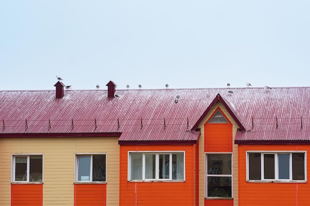 Les mouettes s'asseyent sur le toit d'une maison en bois