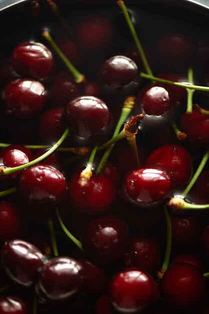 Mouillez les cerises mûres dans l'eau Fraîcheur des baies et des vitamines