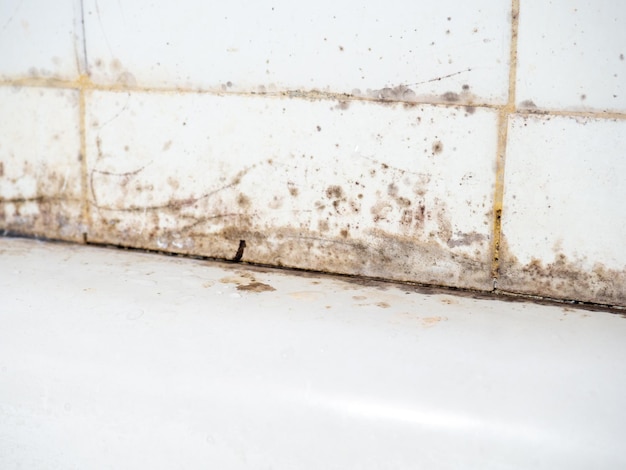 Moule brune sur des carreaux blancs dans la salle de bain Moule dans les fissures entre les carreaux Concept de bactéries de la maison