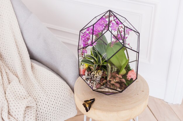 Moule en verre pour plantes avec sable et pierres