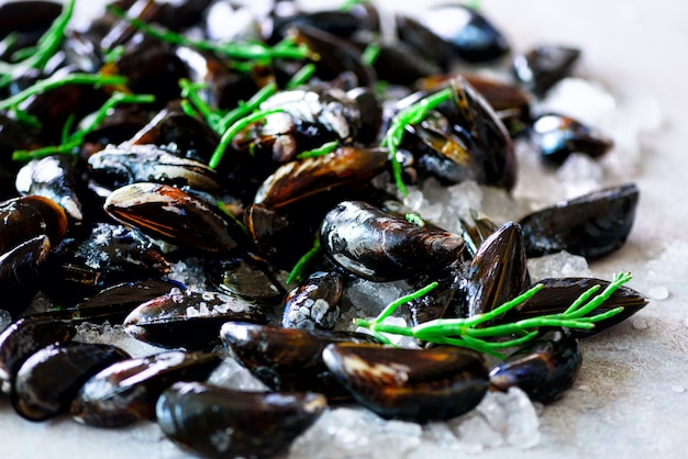 Moules bouillies aux algues, plantes marines sur béton de pierre.