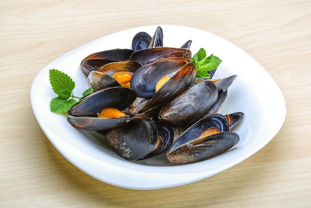 Moules bouillies