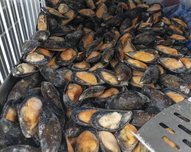 Moules congelées sur une auto-achat dans un marché Viande de moules glacées comme ingrédient de protéines oméga3