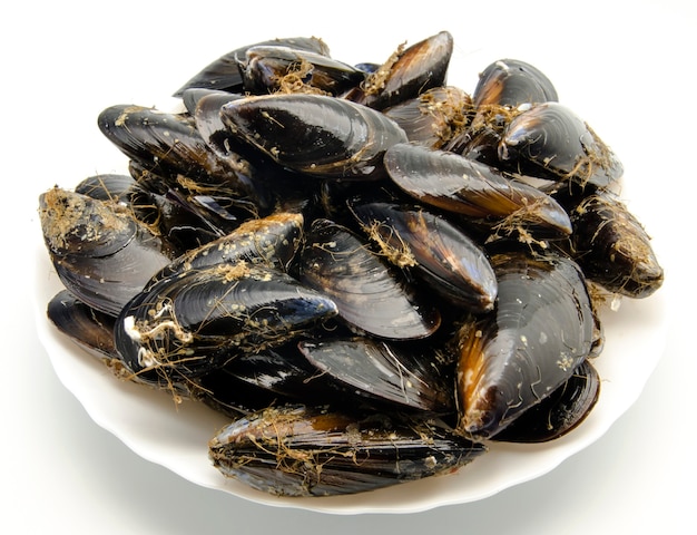 Moules dans la coquille