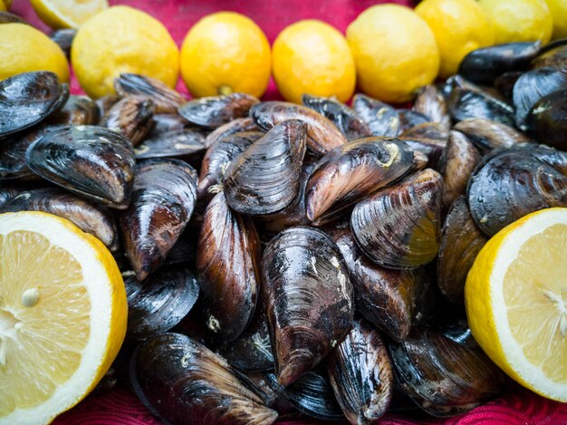 Des moules délicieuses et fraîches se bouchent