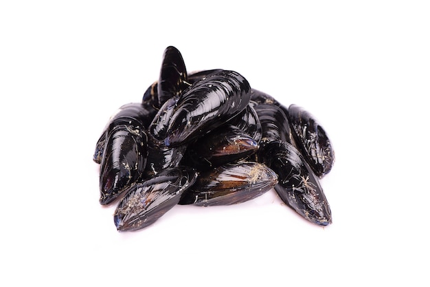 Moules sur fond blanc