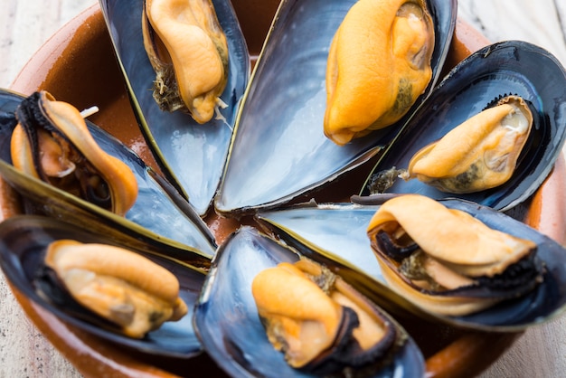 Moules gastronomiques