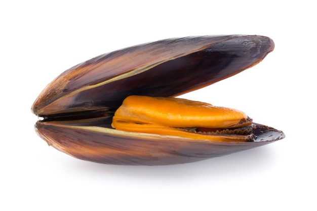 Moules isolés sur blanc. Fruit de mer.