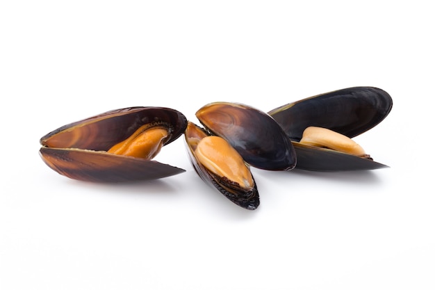 Moules isolés sur fond blanc. Fruit de mer.