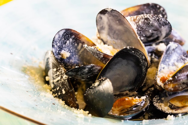 Moules à la sauce au fromage