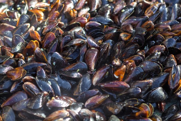 Les moules sont cuites sur un plat à griller.