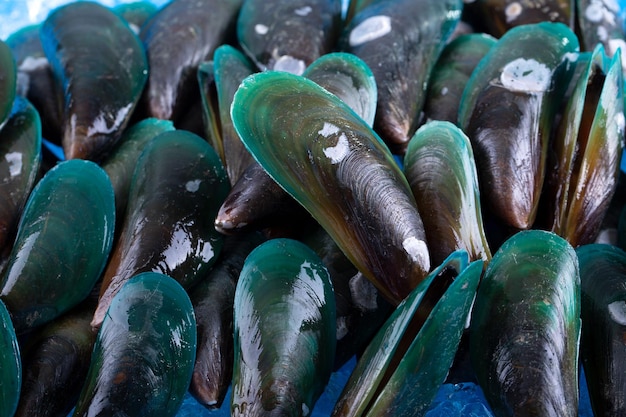 Les moules sont de la glace noire sur le marché