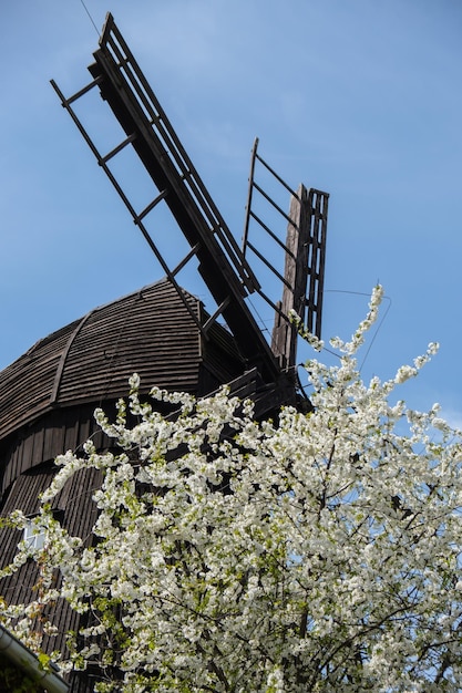 Moulin en bois sur fond de ciel bleu Ancien moulin à vent à l'aube Moulin à vent ferme paysage rural village sur la colline de Trzew Pologne