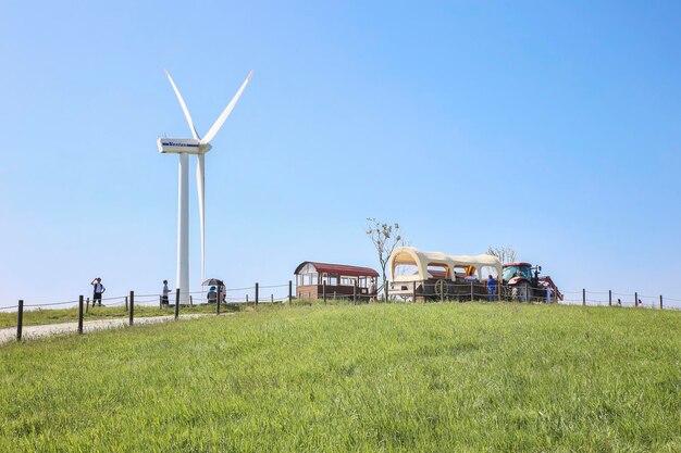 Moulin à vent sur un champ herbeux contre un ciel clair