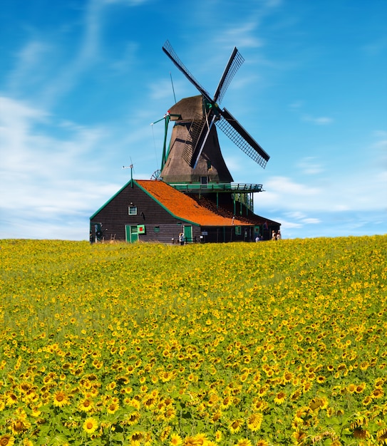 Moulin à vent avec champ de tournesol