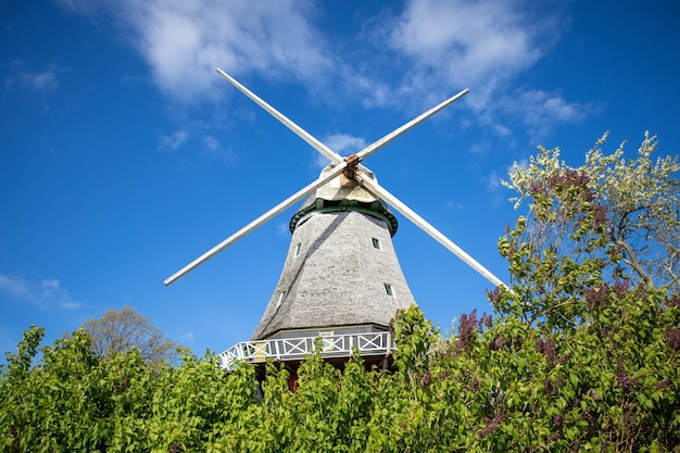 Moulin à vent néerlandais dans le domaine