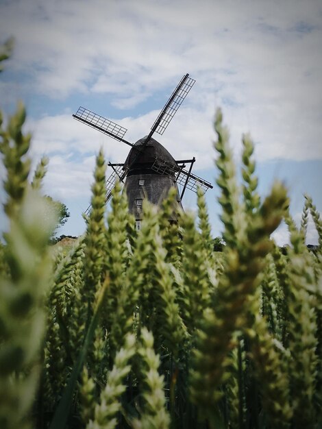 Photo moulin à vent traditionnel sur le paysage contre le ciel